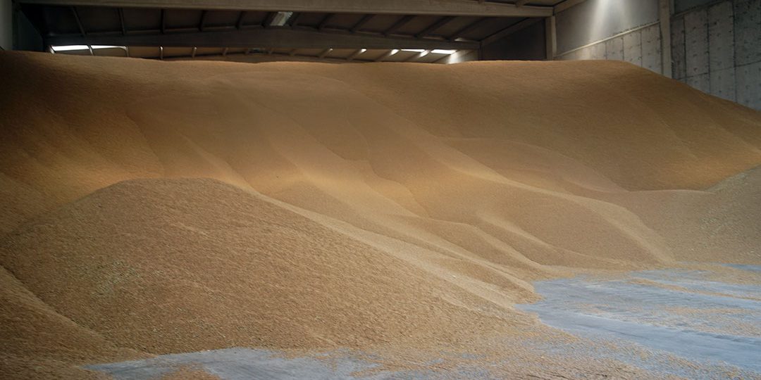 anasayfa_1-1080x540.jpg